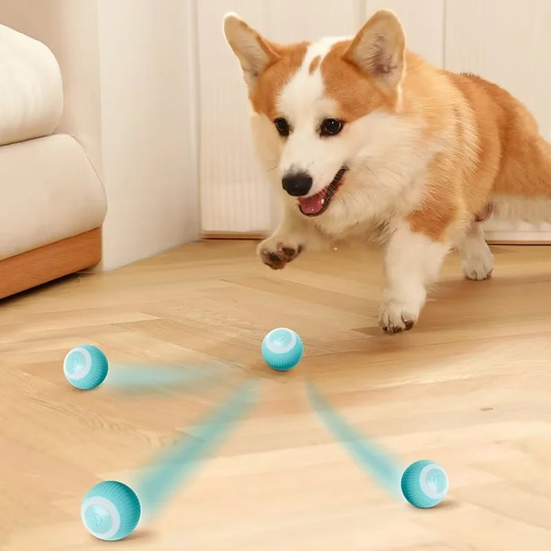 Bola Inteligente para Pet - Smart Ball™