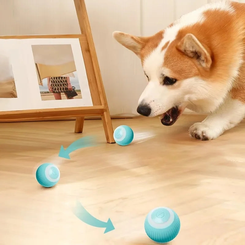 Bola Inteligente para Pet - Smart Ball™